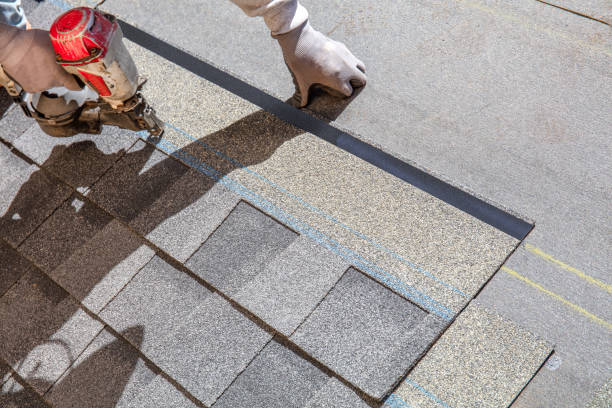 Best Metal Roofing Contractor  in Charleston, SC