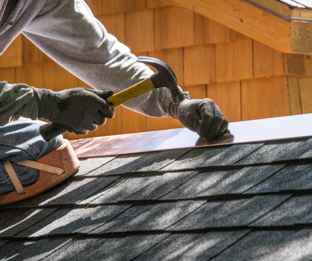 Professional Roofing Contractor in Charleston, SC